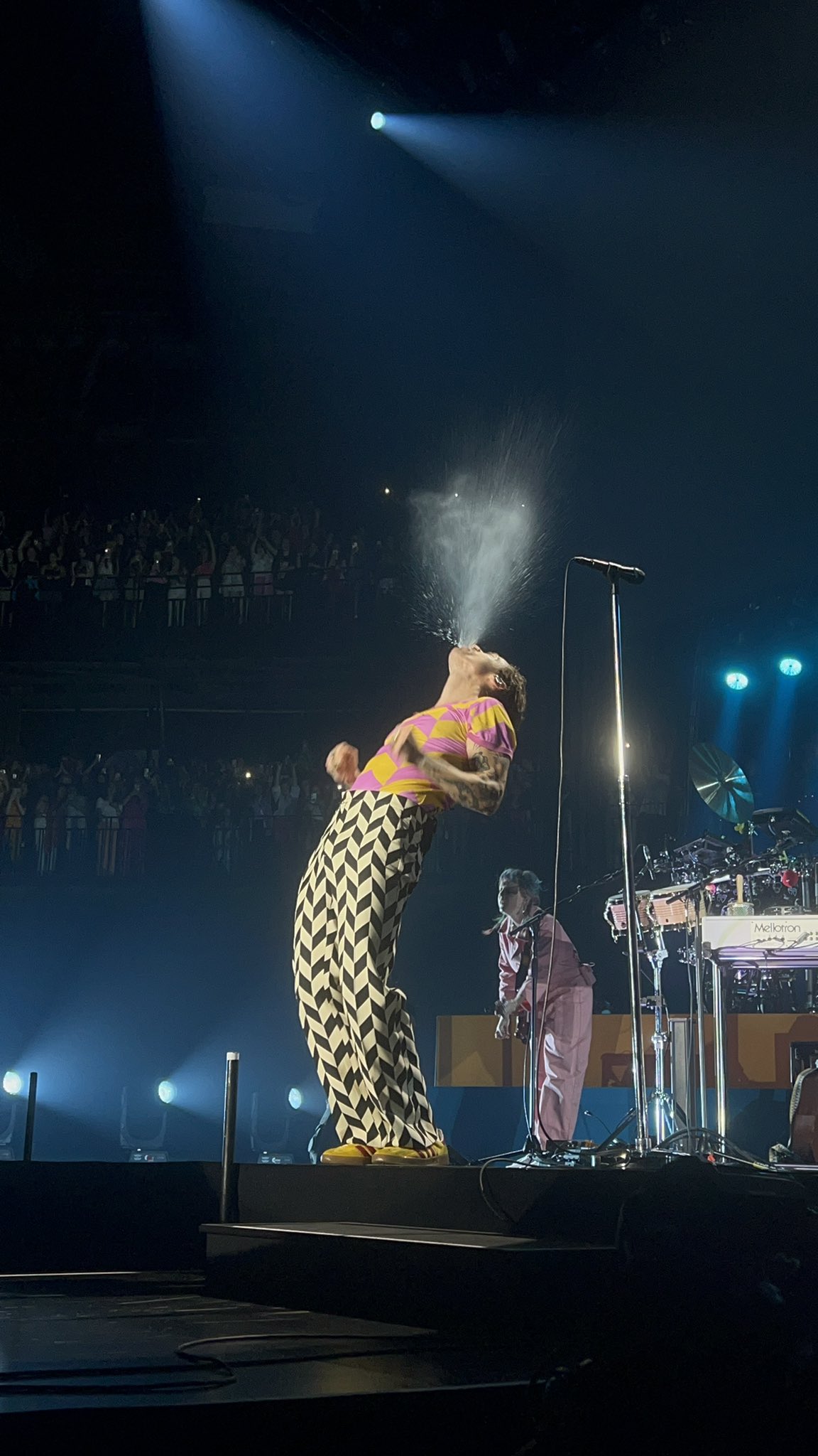 harry_styles_as_a_whale